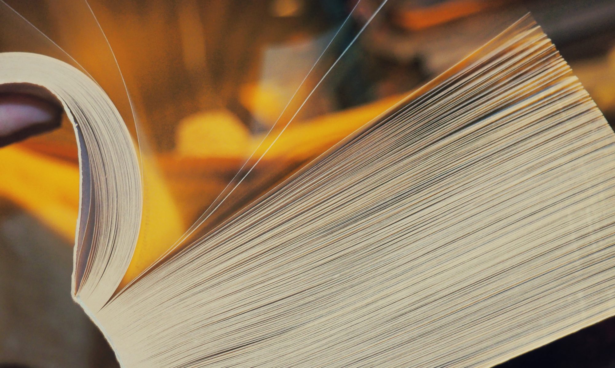 Standardy kvality v sociálních službách - od teorie k praxi